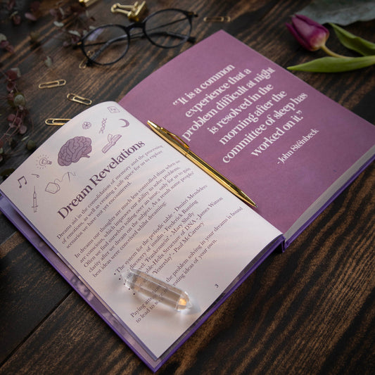 Dream Journal - Soul Mirror