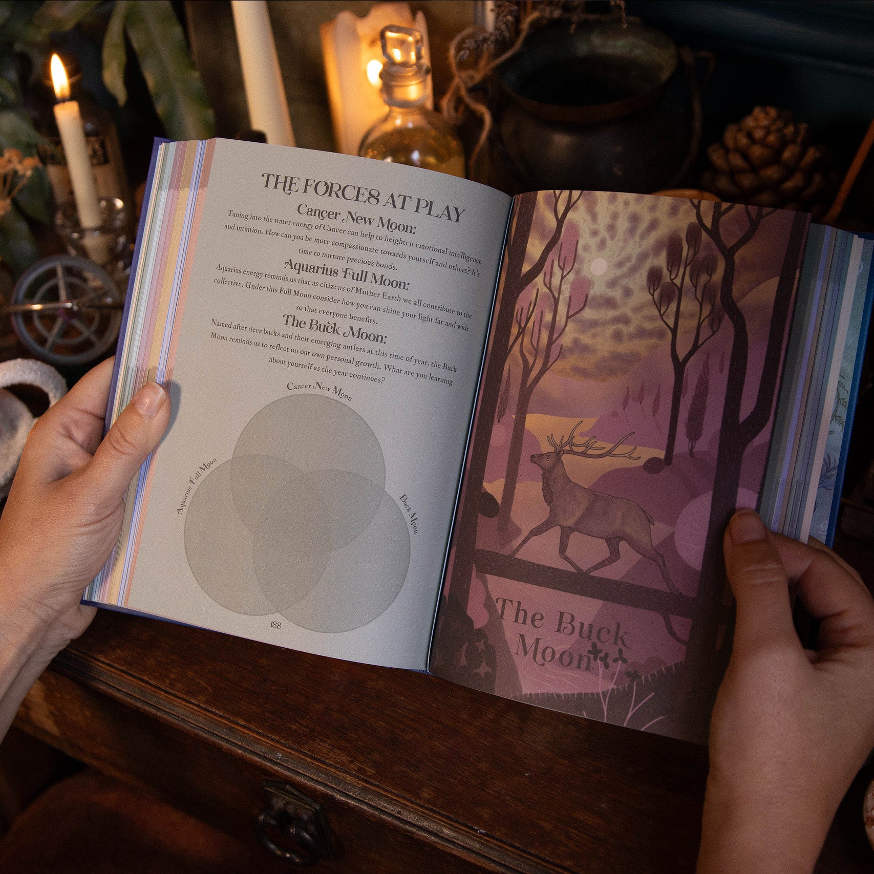 2026 | Signature Set