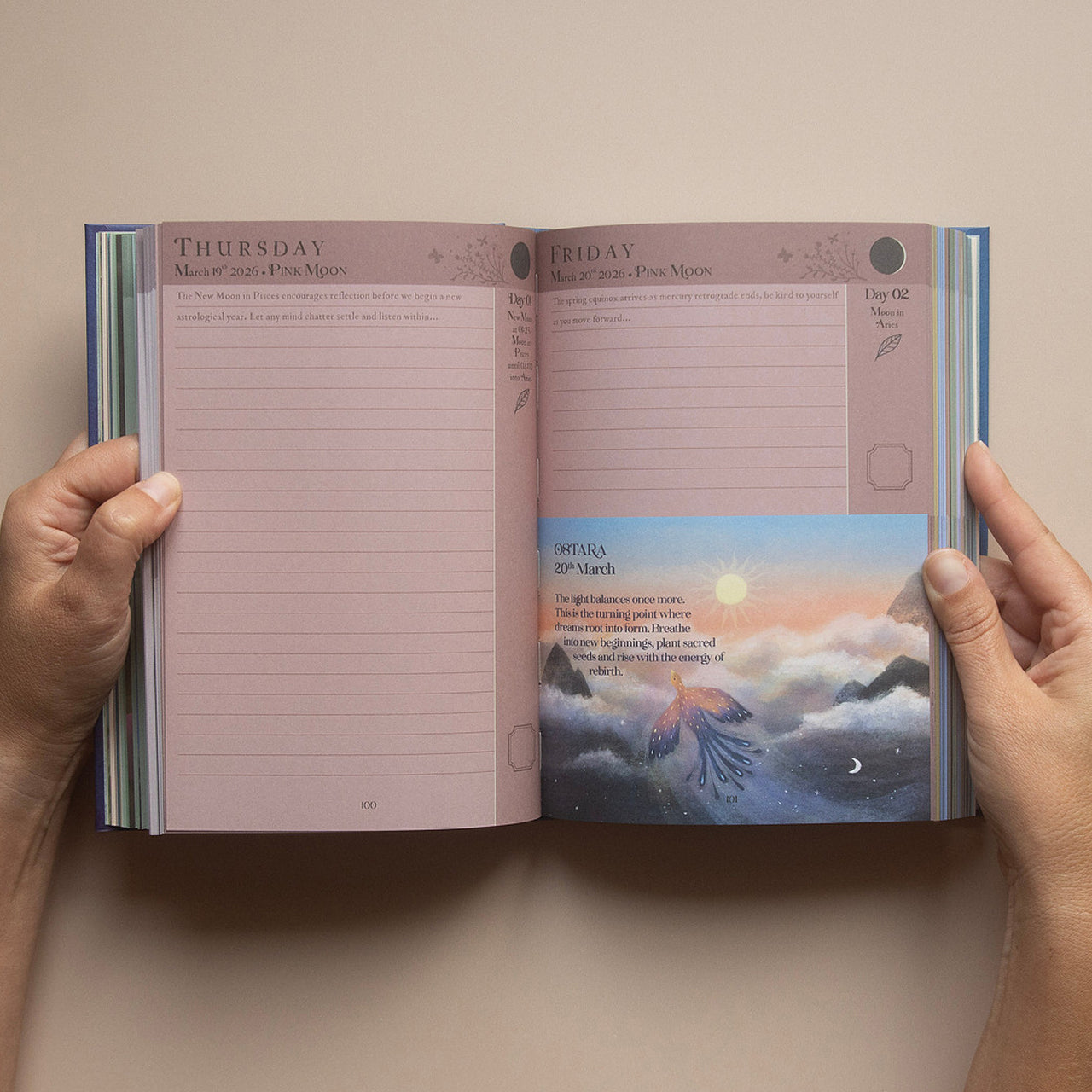 2026 | Complete Moon Collection