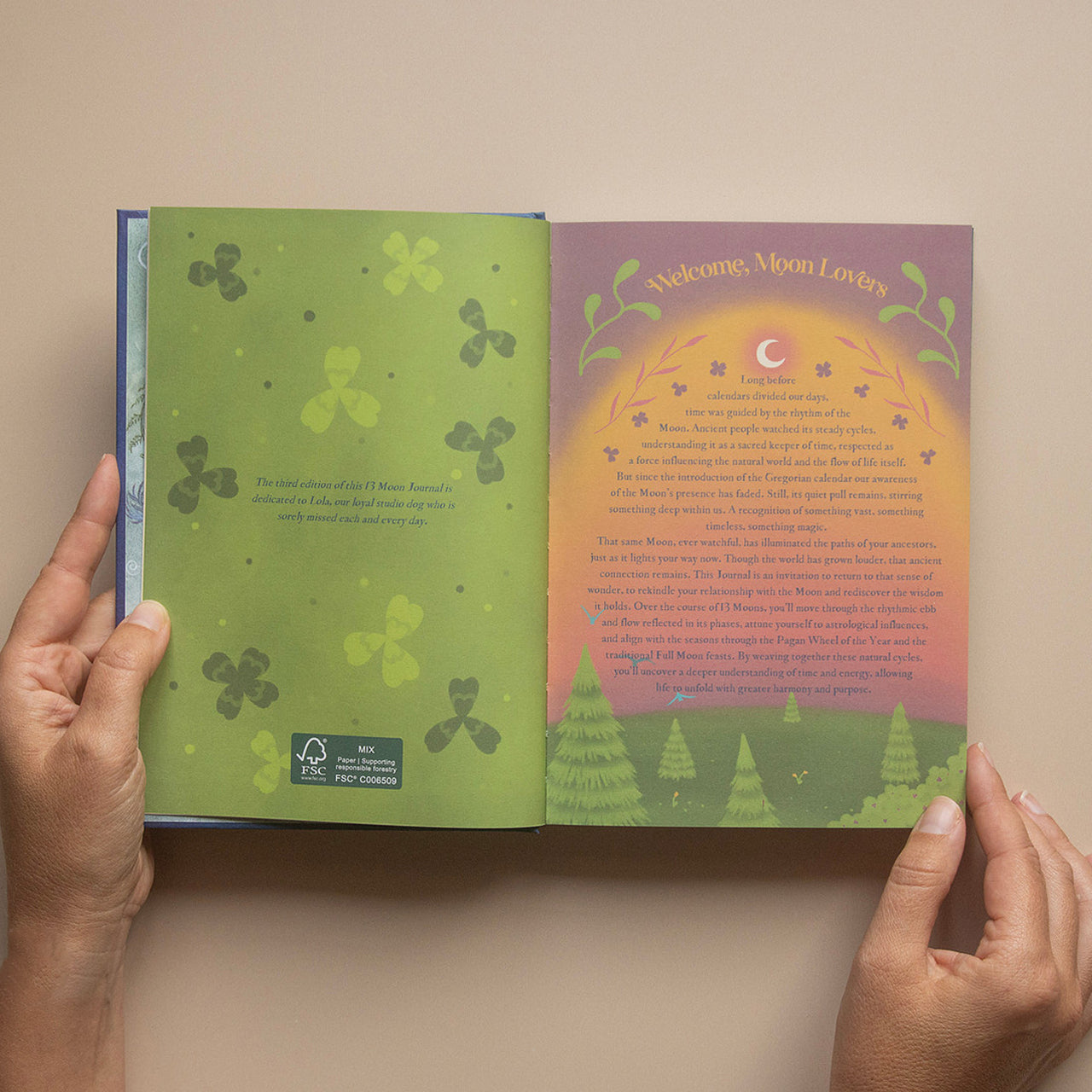 2026 | Signature Set