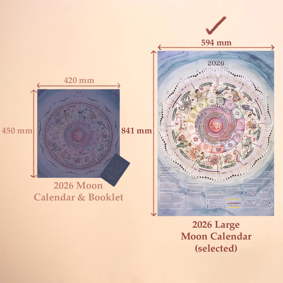 2026 | Large Moon Calendar