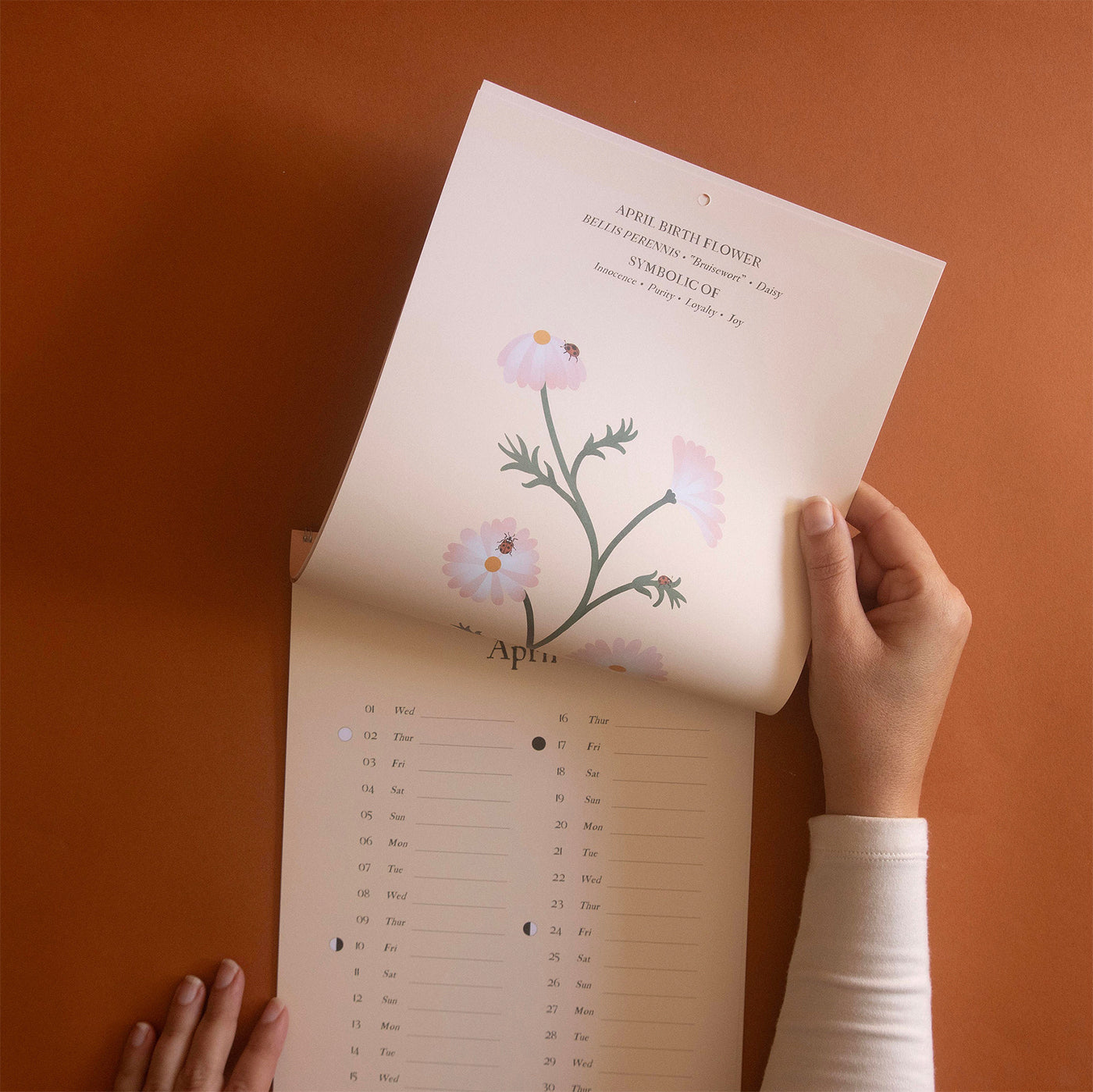 2026 | Calendar | Months In Bloom