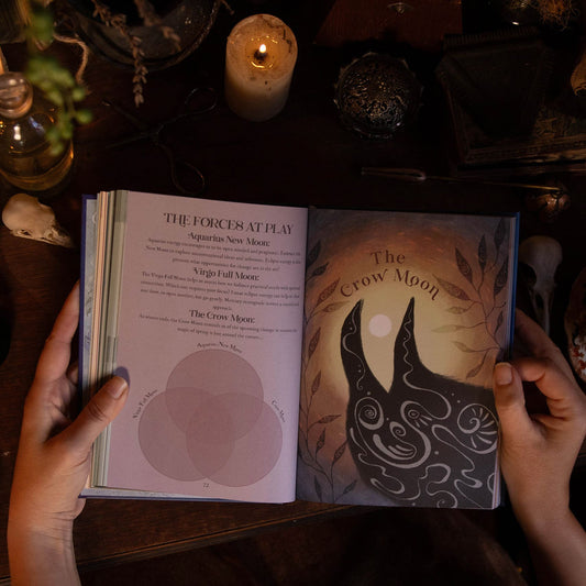 New Moon Aquarius | Solar Eclipse 2026