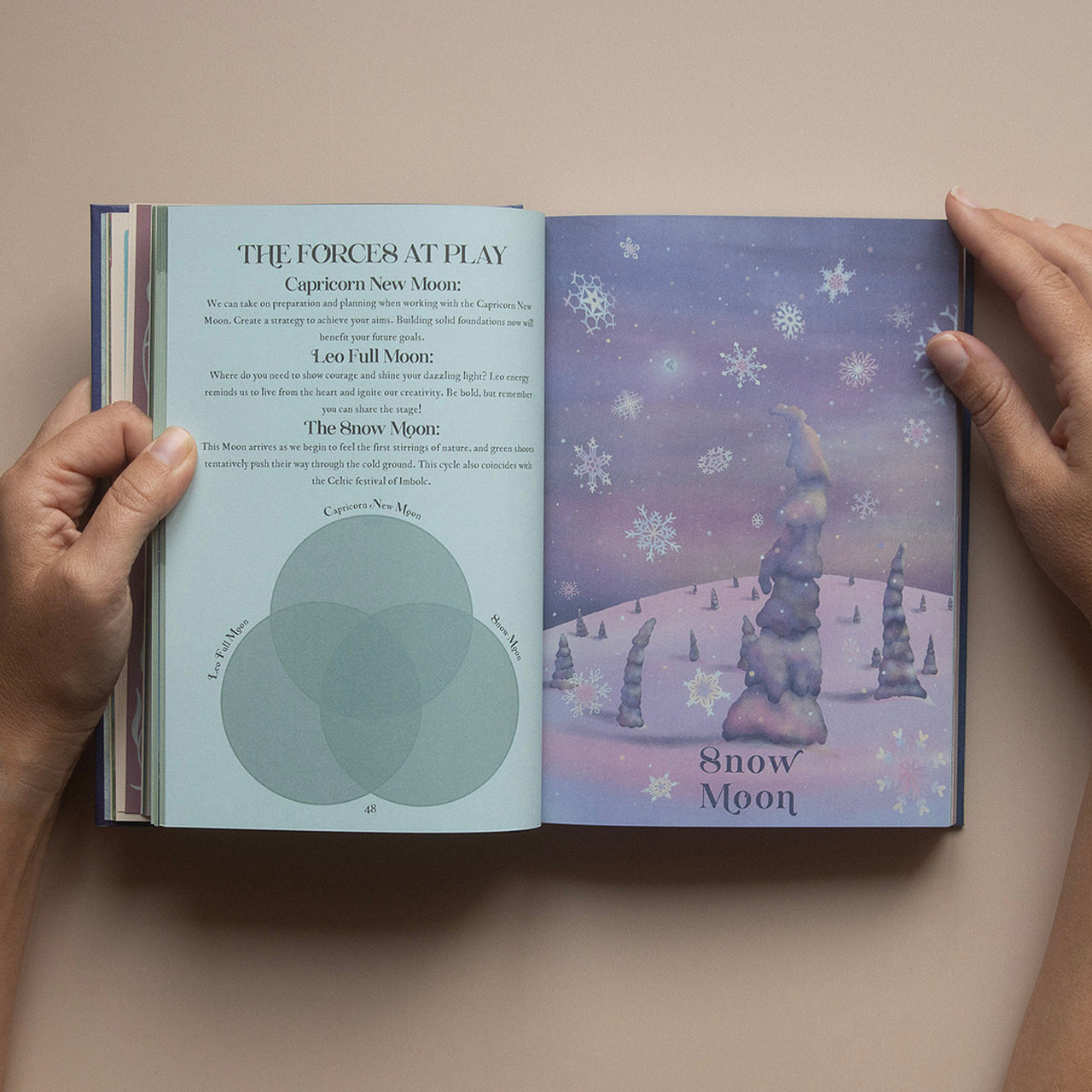 New Moon in Capricorn 2026