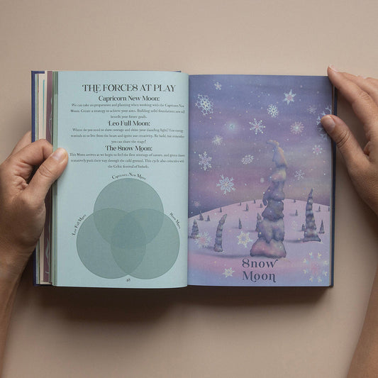 New Moon in Capricorn 2026