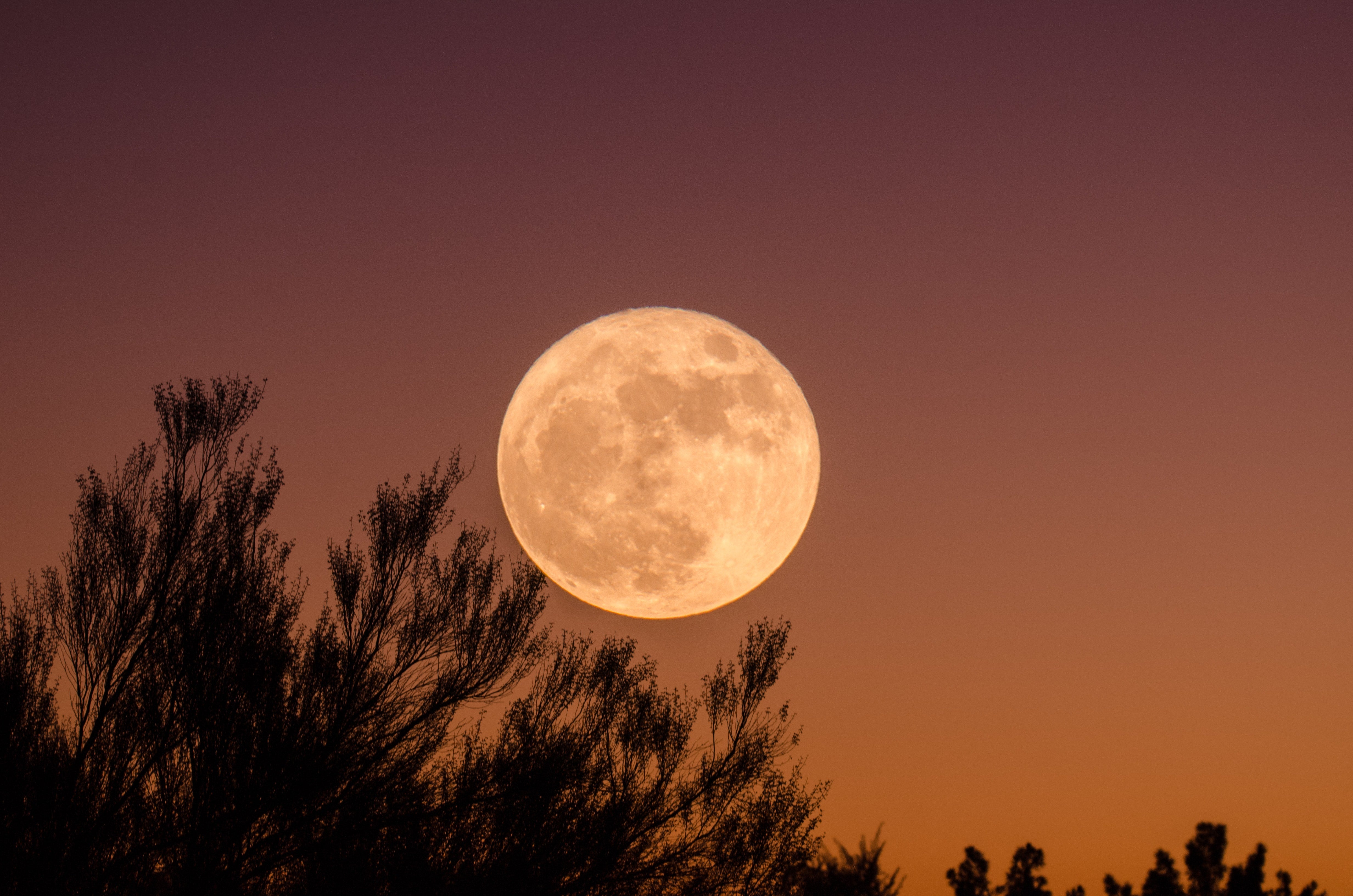 Full moon june 2022 in sagittarius moon phase studios