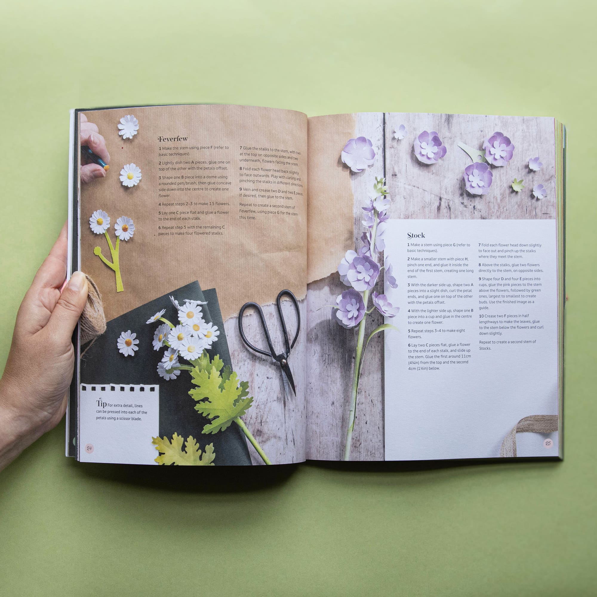 Bouquet in a Book