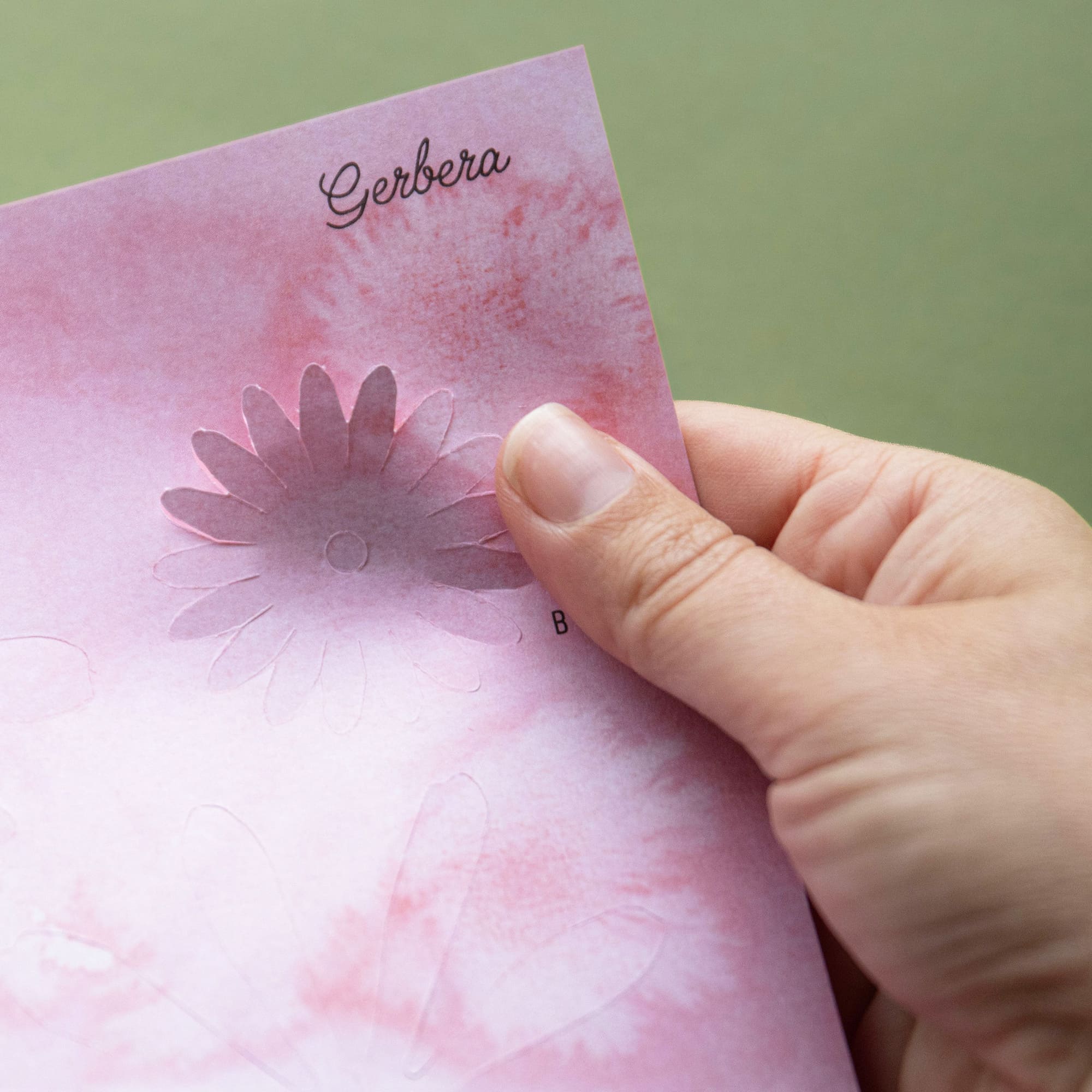 Bouquet in a Book